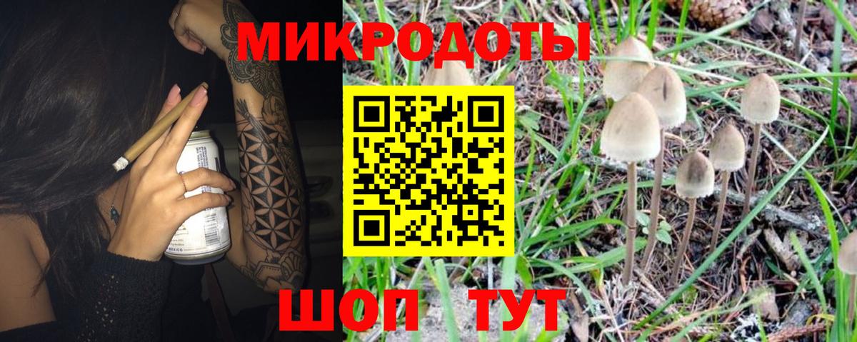 Североморск  Галлюциногенные грибы мицелий  Вход с VPN 